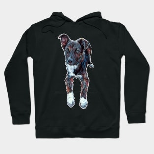 Hamilton the dog Hoodie